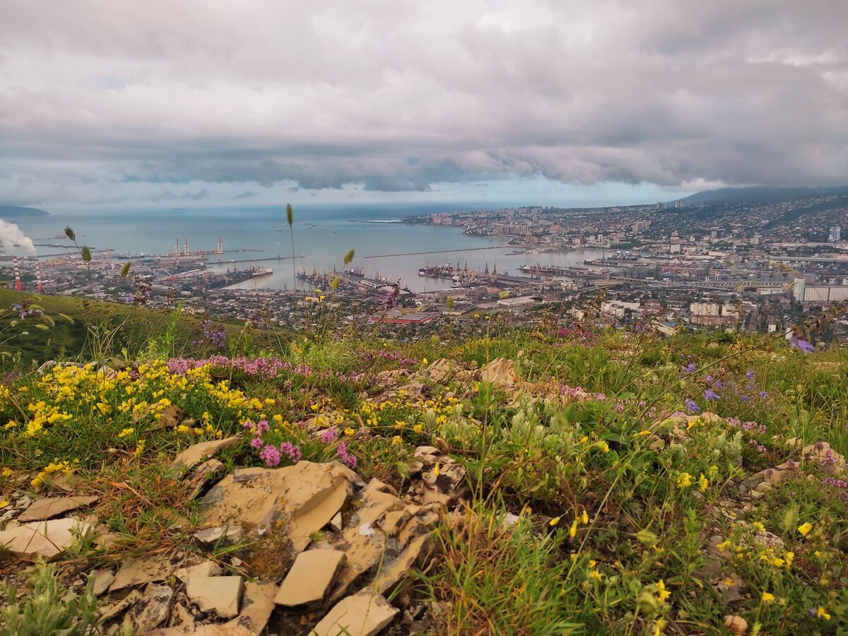 Новороссийск с подножия Маркотхского хребта.