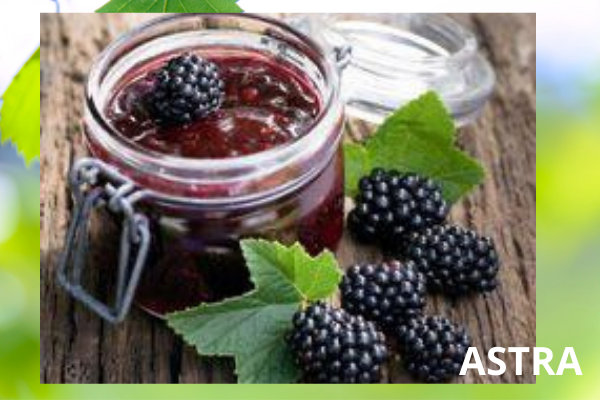 Фото ежевика 