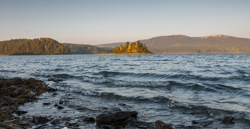 В водоеме водится ерш, чебак, карась, окунь, налим, плотва. Любительская рыбалка на озере запрещена (необходимо получить специальный разрешающий документ). 
И летом, и зимой здесь можно увидеть рыбаков. В озере Аракуль водится самая большая щука в области. Клюет хорошо в отдаленности от берега, поэтому лучше рыбачить на лодке. Некоторые ездят на озеро Аракуль за раками — их здесь очень много.