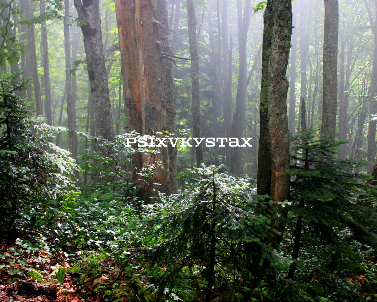 Якутия. Фото из личного архива