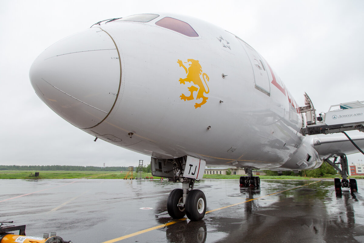 АБОИНГА. Российские авиакомании с жёлтыми раскрасками. Boeing 787 ethiopian airlines