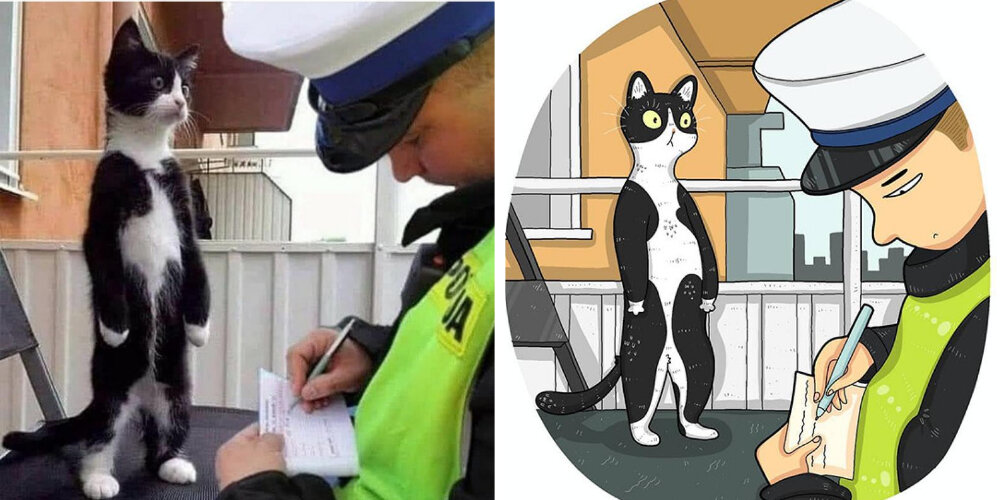 Фото: @tactooncat