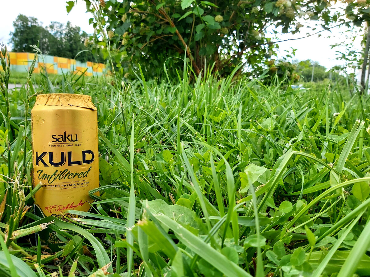 Saku Unfiltered Premium Beer, фото автора