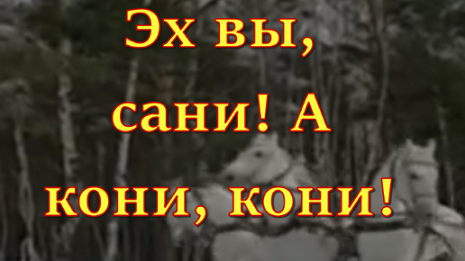 Эх вы кони мои. Эх вы кони мои кони. Эх вы кони мои. Эх вы кони мои кони. Хей ой да конь мой вороной.
