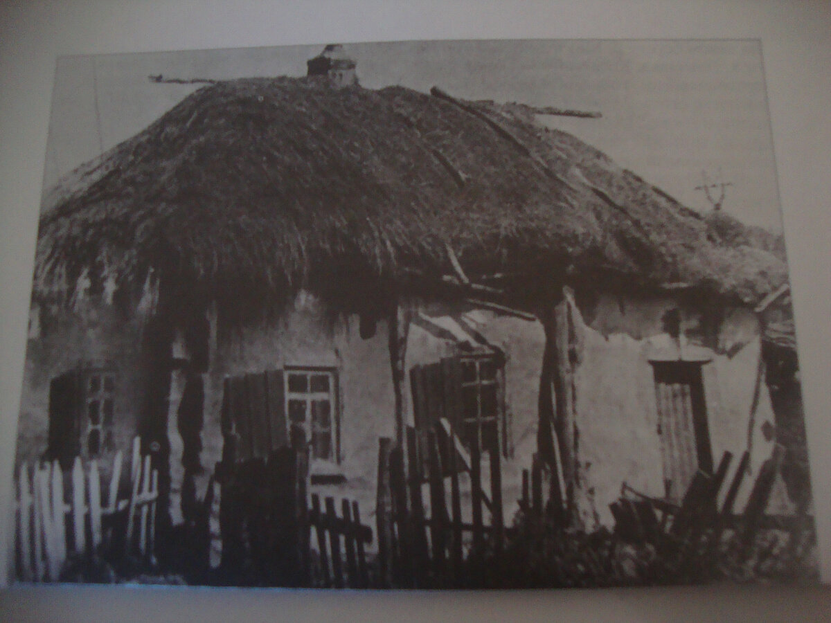 Так выглядели дома  ( фото из книги В. Погребного Моя малая Родина)