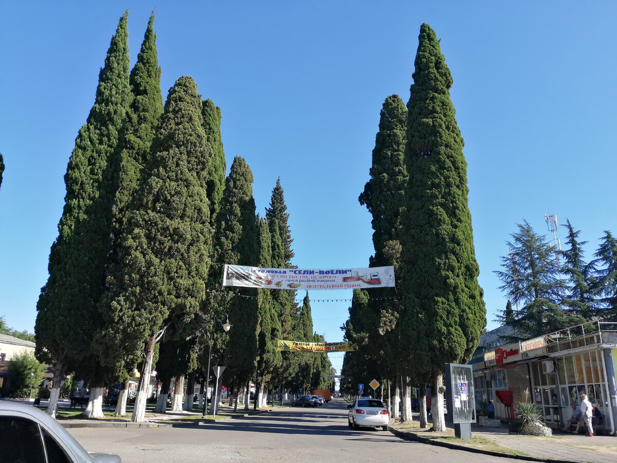 Пицунда (Абхазия). Фото Светы Давыдовой