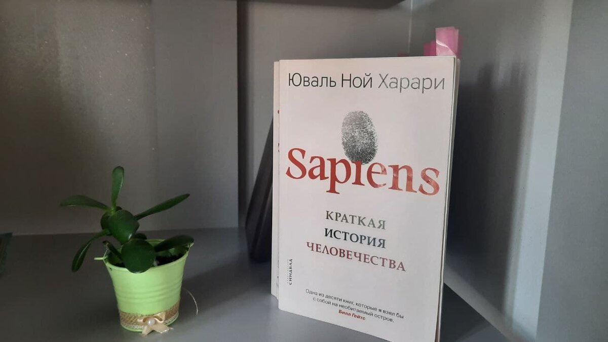 Sapiens в переводе означает человек разумный