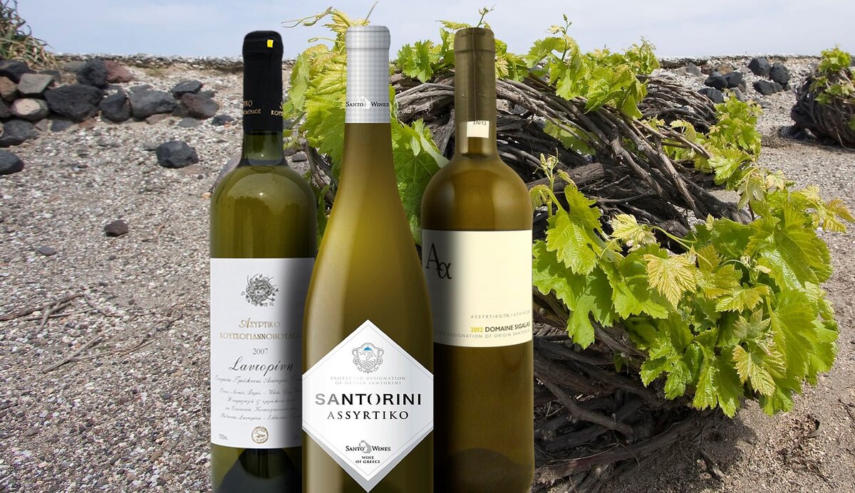 Многие виноделы убеждены, чтобы лоза дала хорошее вино, то она должна страдать. На греческом острове Санторини, родине белого сорта ассиртико, самой природой созданы для этого все условия.