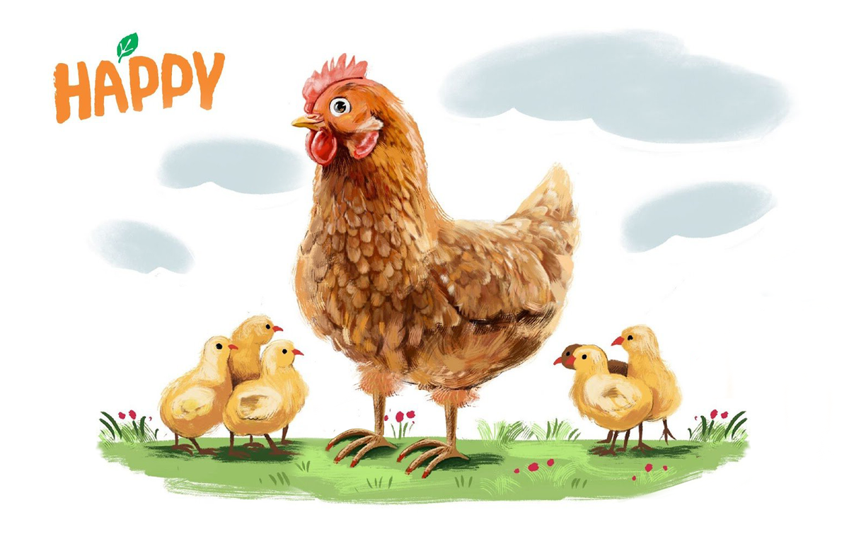 Начиная с 2-3 недель цыплятам можно давать сочные корма, в дополнение к основному полнорационному корму.