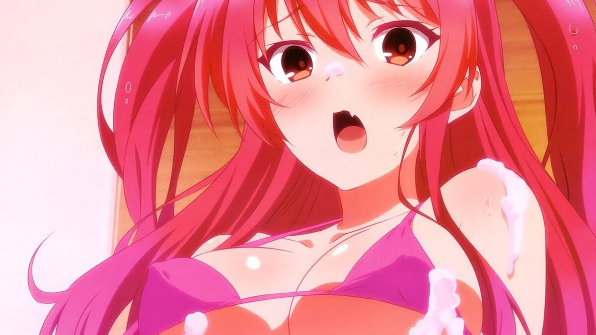 Сила государства определяется численностью и могущественностью рыцарей-магов, и конечно, Япония в этом плане опережает все остальные страны. По этой причине в школу рыцарей Хагун прибывает Стелла Вермиллион, которая носит прозвище Алая Принцесса. У себя дома она уже достигла всех высот, которые только можно было достичь, а в Ямато могущественных противников пруд пруди, то есть, есть к чему стремиться и чего добиваться. Как же удивилась пятнадцатилетняя наследница престола, когда ее определили в одну комнату с каким-то Икки Куроганэ, который оставался на второй год, это же худший ученик этого учебного заведения! 
Эмоциональный конфликт моментально перешел в схватку, и стало ясно, что напарник девушке попался не из простых – пусть у него очень малый запас маны, зато самоотдачи хоть отбавляй, да и в фехтовании он очень даже неплох, потому что в бою не имеет значение нанесение урона площадям, достаточно и одного, но точного удара. Да и семья у молодого человека очень уважаемая – формально он вышел из клана, но у него есть младшая сестра Шизуки, которая души в нем не чает. В общем, Стелла поняла, что у такого парня стоит подучиться перед турниром, который проходит по всей стране