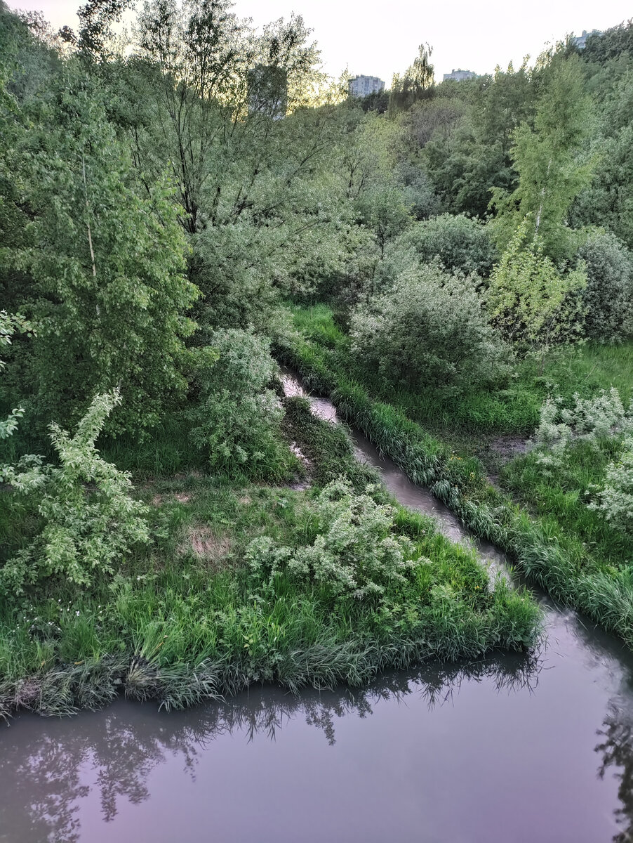 Вид с моста