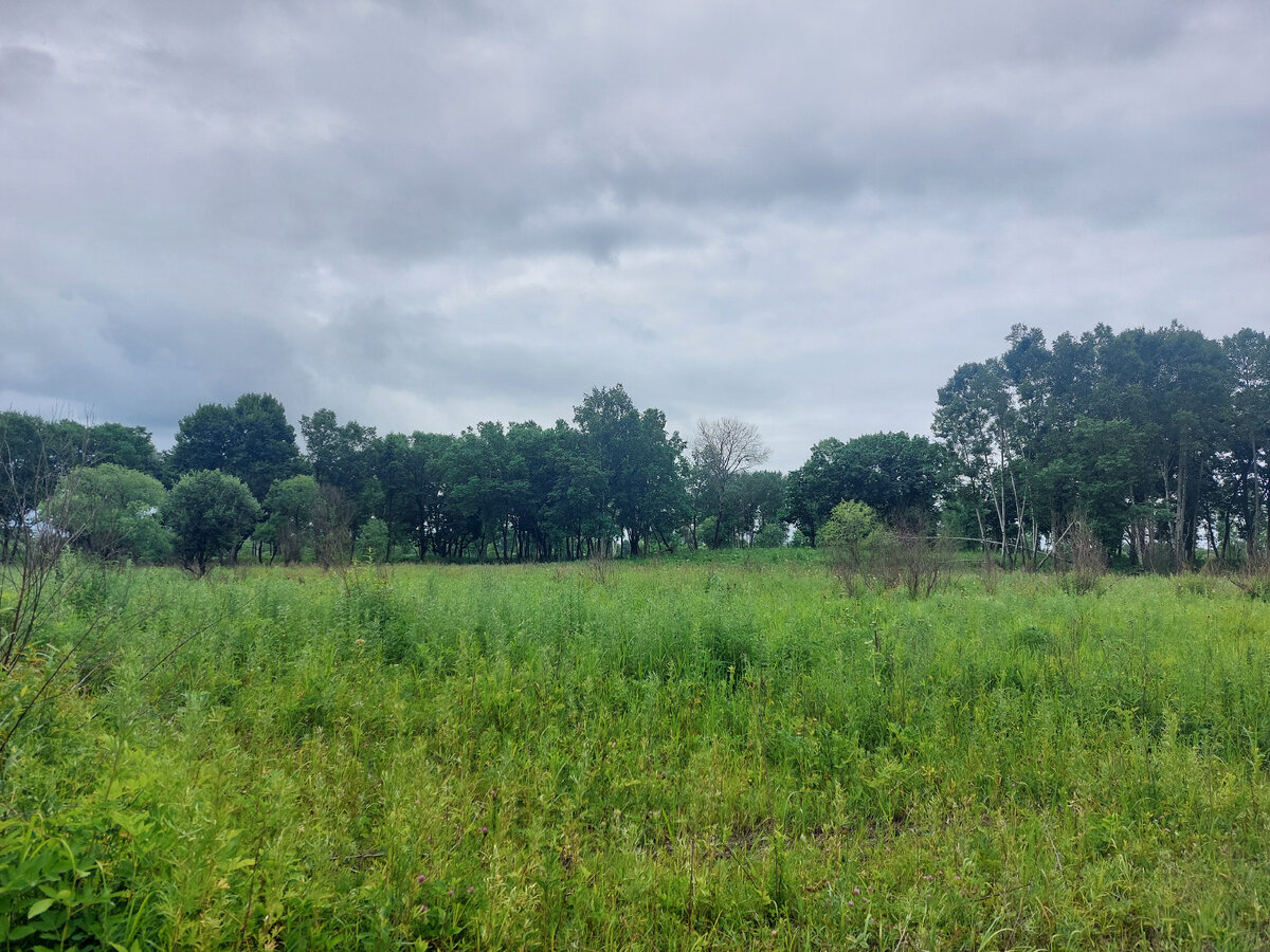 Муж сказал, что похоже на Украину.