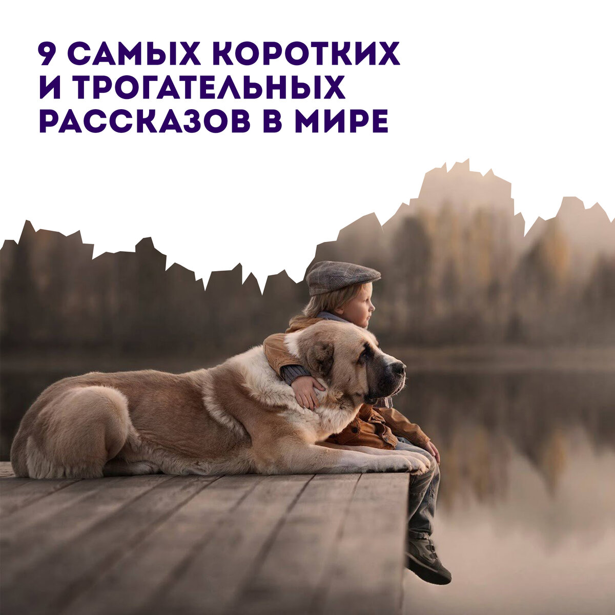 Трогательный рассказ это