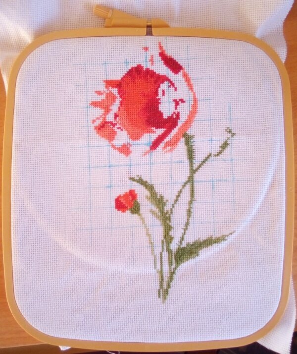 Сильно засвечено, да, потому что время фотографировать у меня обычно только перед работой, когда солнце встаёт прямо ко мне в окно...