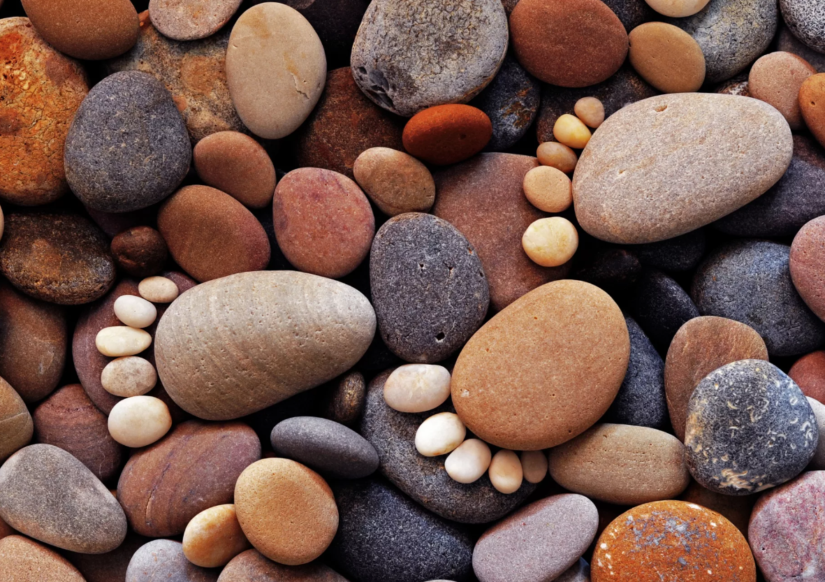 Фото с сервера Яндекс. Картинки