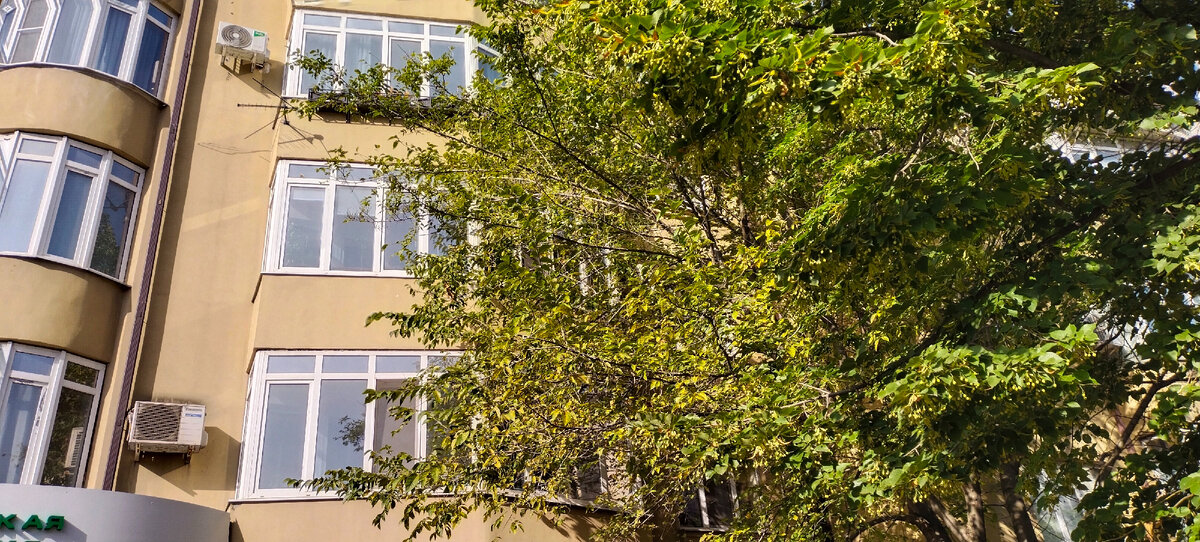 Фото автора канала