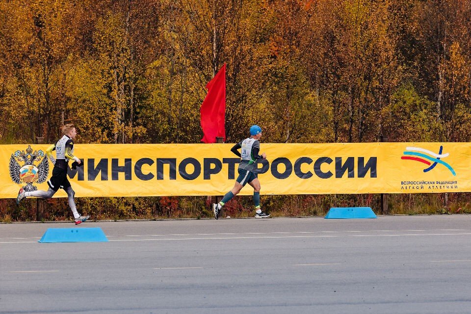     Принять участие в Кроссе могут все северяне. Фото: gov-murman.ru
