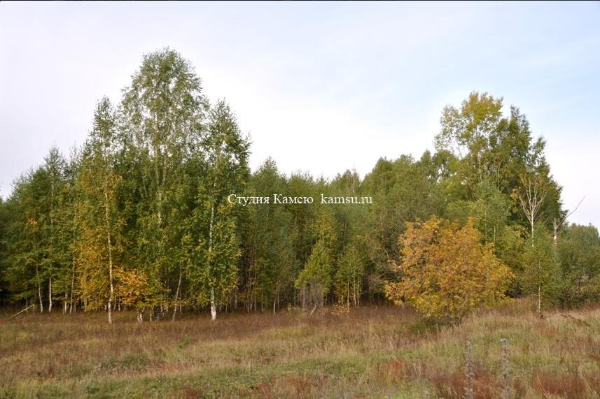 Ранняя осень