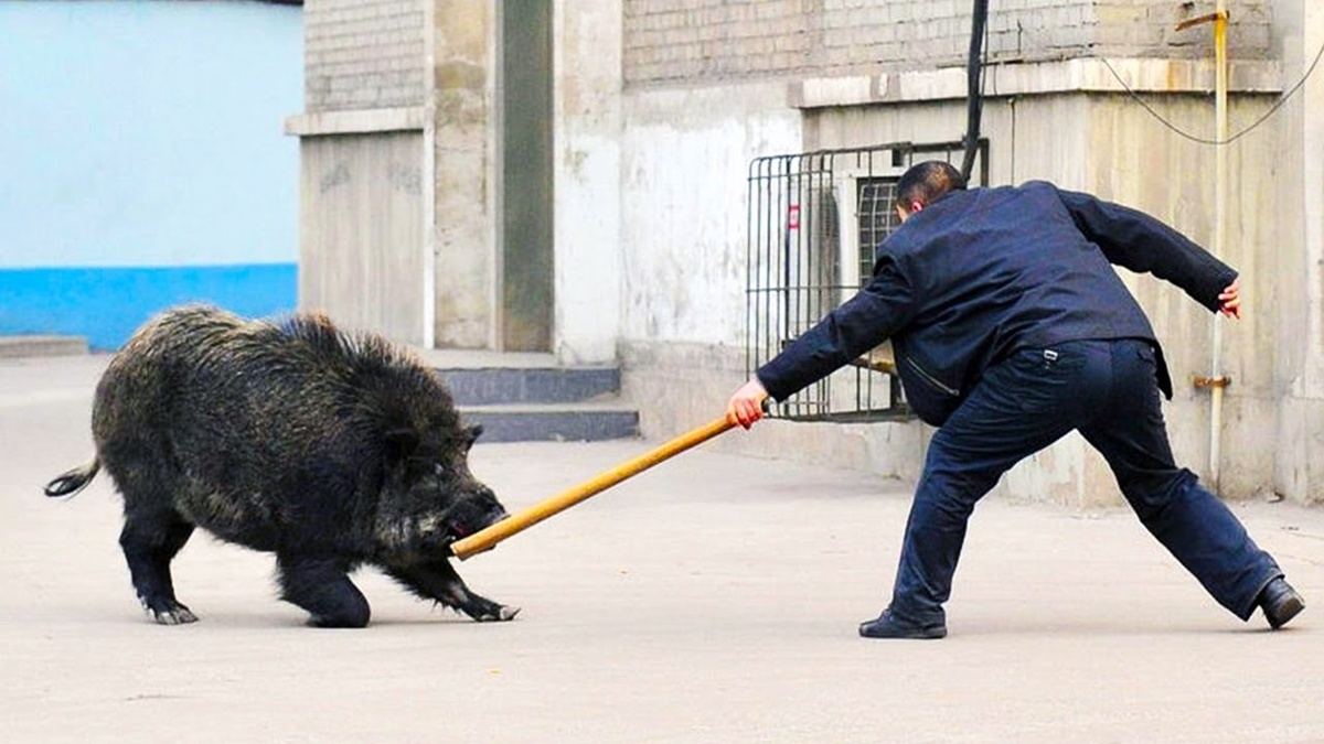 Фото из открытых источников "Яндекс картинки".