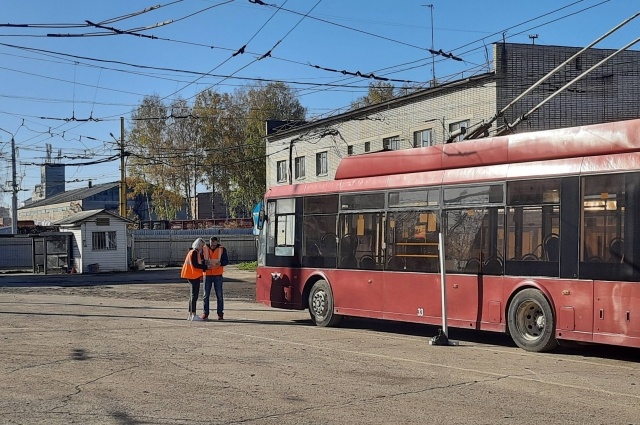    Фото:  АиФ/ Полина Зубакова