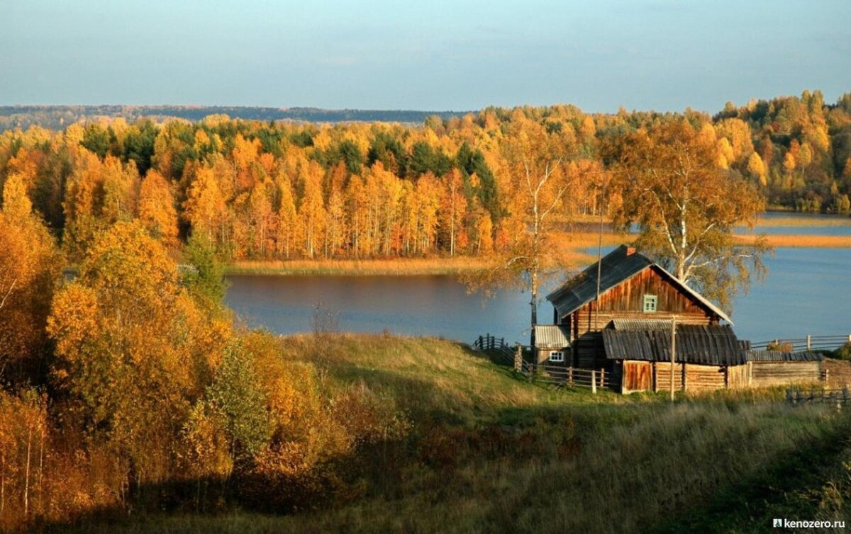 золотая осень в деревне фото