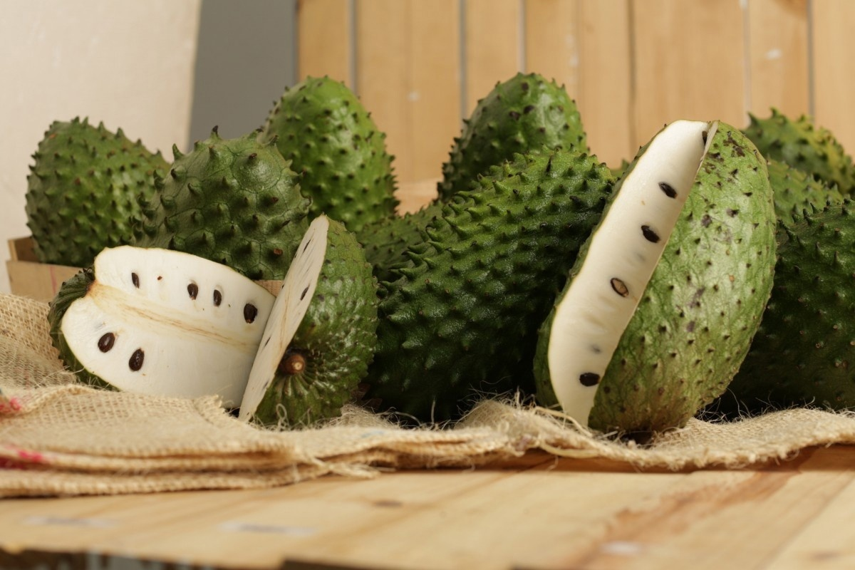 Райское яблоко туриста