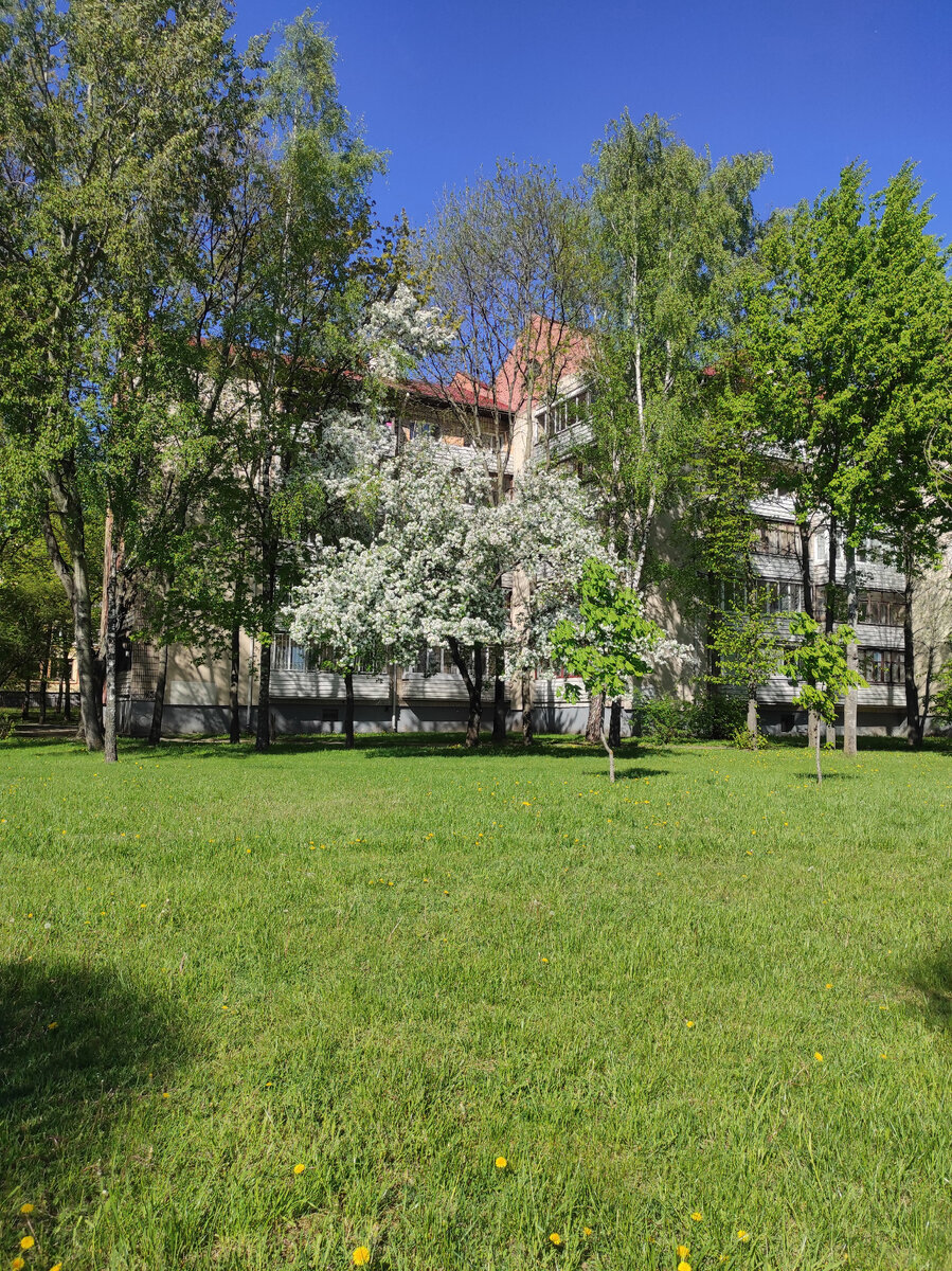 Минск весна 2022