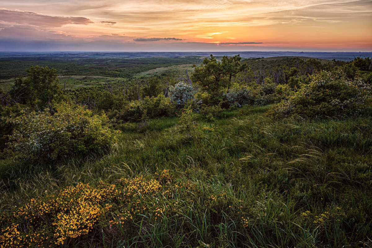 Заповедник донецкий кряж фото и рассказ