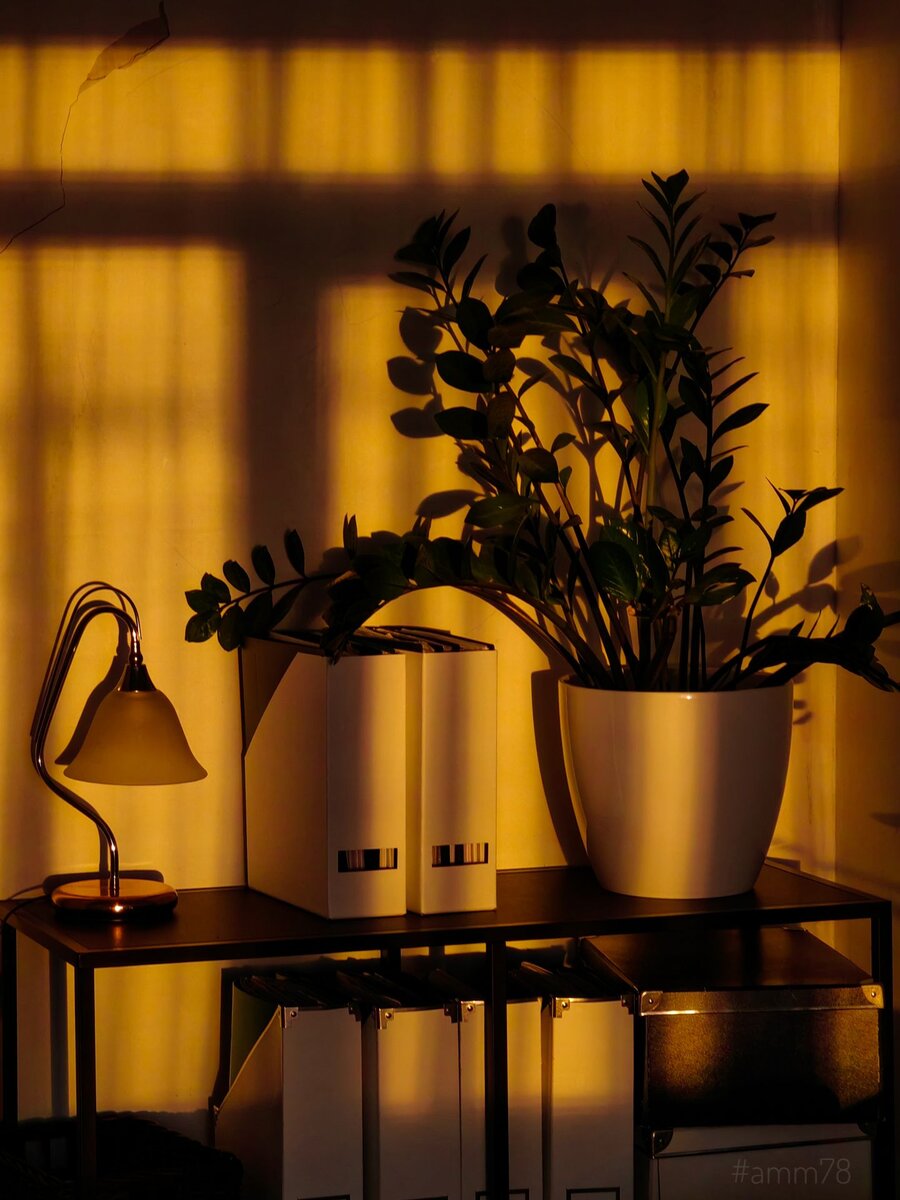 Huawei P50 Pro; f/3.5; 1/25; ISO 800; -0.7EV