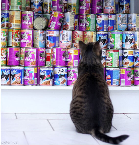 Проблема выбора, однако