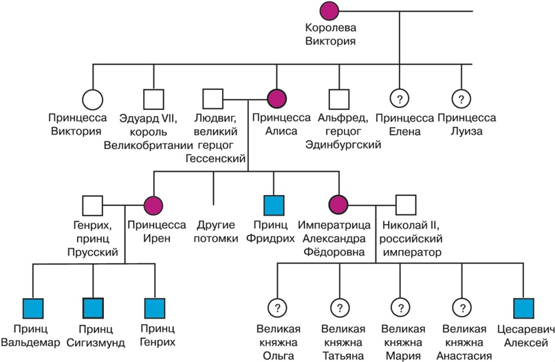 Генеалогический метод гемофилия. Генеалогическое Древо гемофилии у потомков королевы Виктории. Профессия генеалог. Генеалог ДНОН.