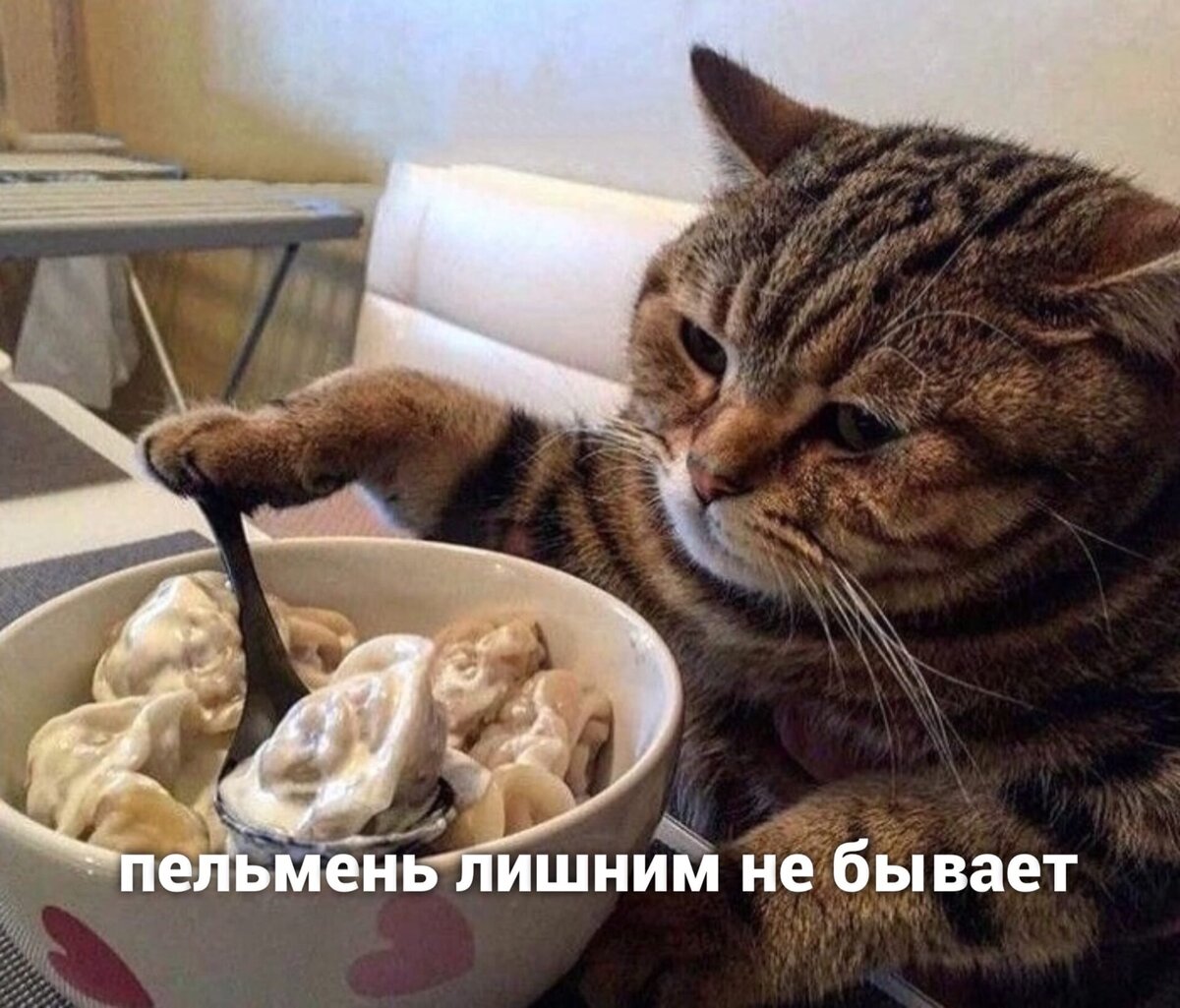 🐾Субботние зарисовки о кошках и людях 😺 | Я — Кот! | Дзен