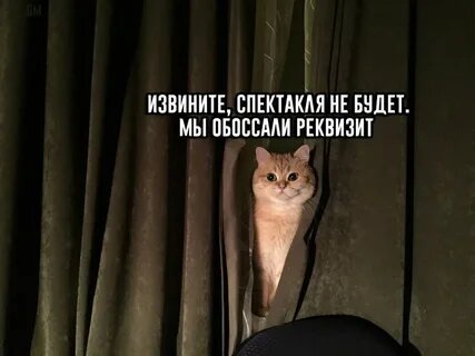 минус спектакль