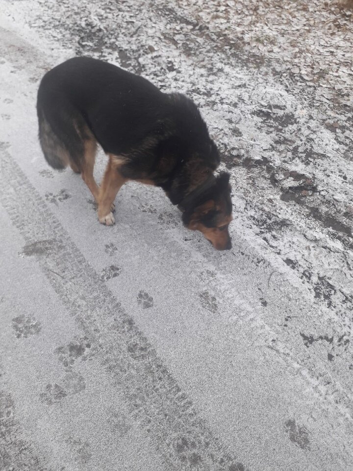     Фото: Анастасия Куликова из vk.com "Бежецк"