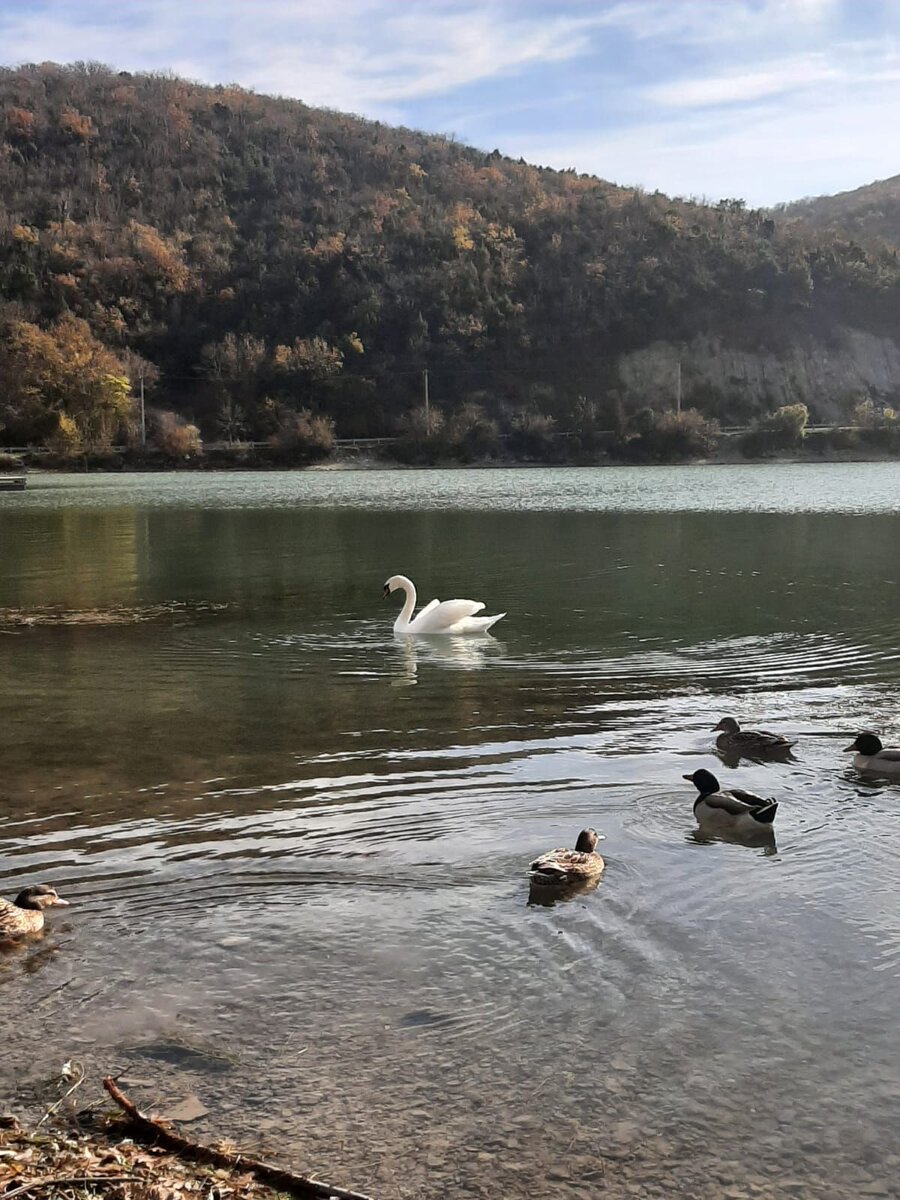 Абрау-Дюрсо. Фото автора.