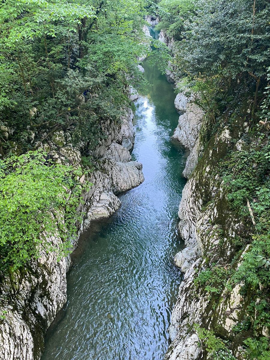 Тисо-самшитовая роща, Сочи. Живописный каньон Чертовы Ворота проходит по руслу реки Хоста. 