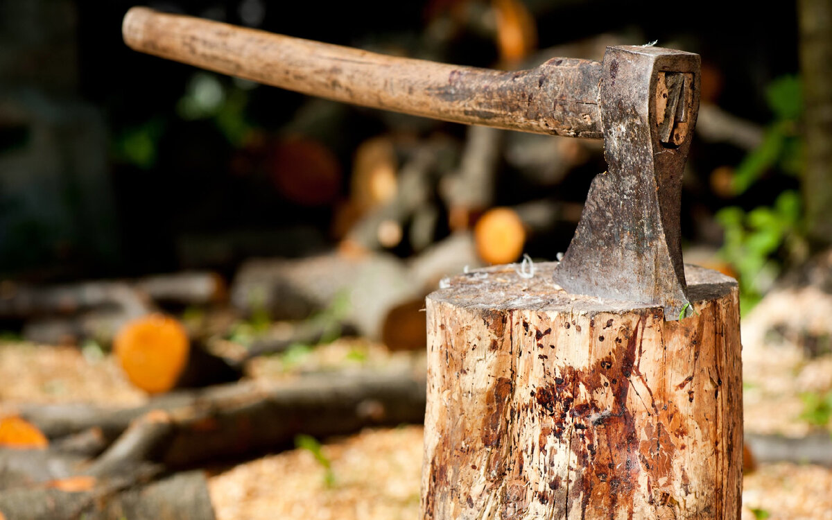 Колоть дрова. Фото из открытых источников