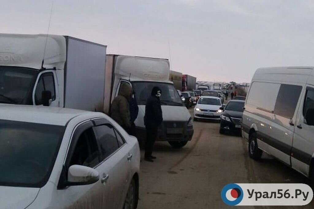    Контрабанда: В Оренбургской области на границе обнаружили незаконный ввоз 20 тонн мяса и 18 тонн лосося