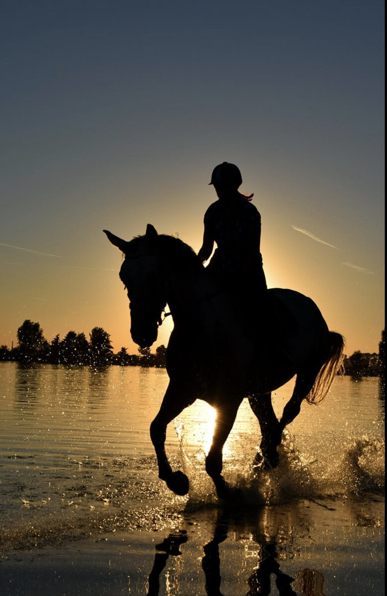 Картинка из интернет 