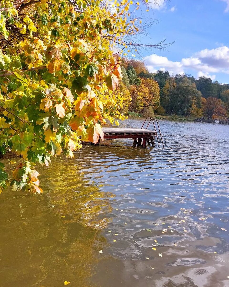 Пруд в усадьбе Суханово.Фото автора.
