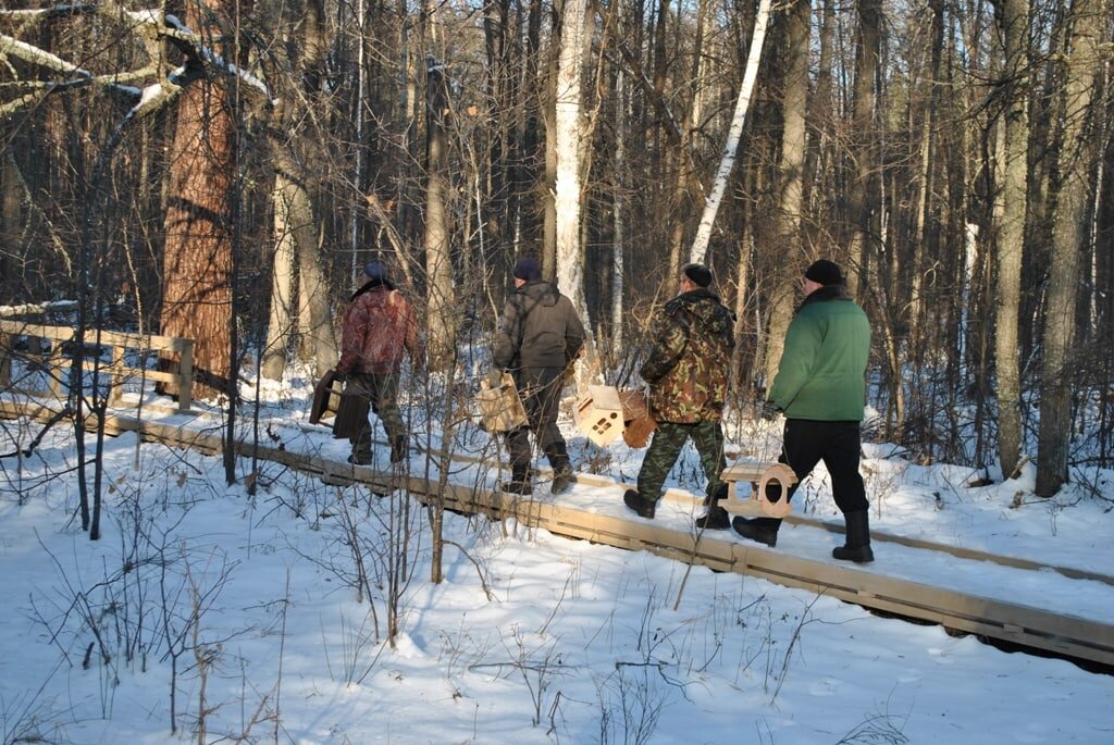  📷    Гостей Бузулукского бора просят захватить с собой семечек для кормления птиц Андрей Севостьянов