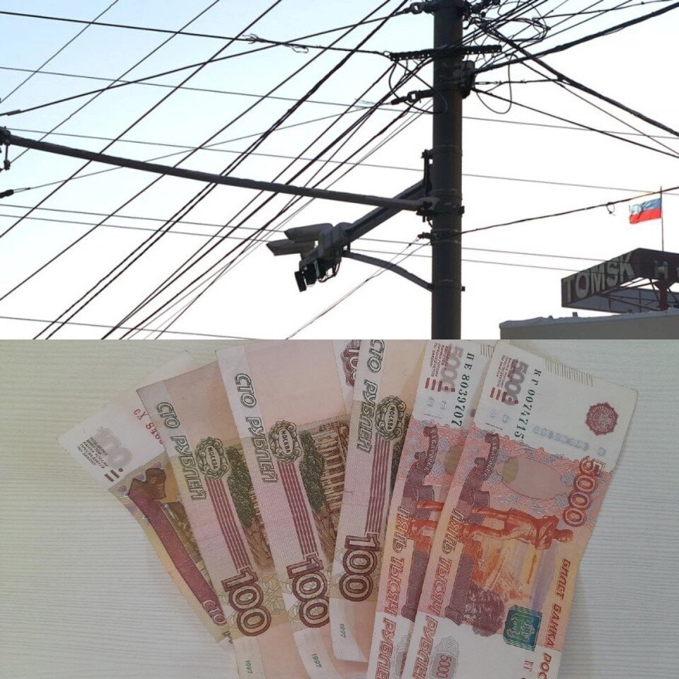     Фото: Пресс-служба УМВД России по Томской области/Алёна Голева