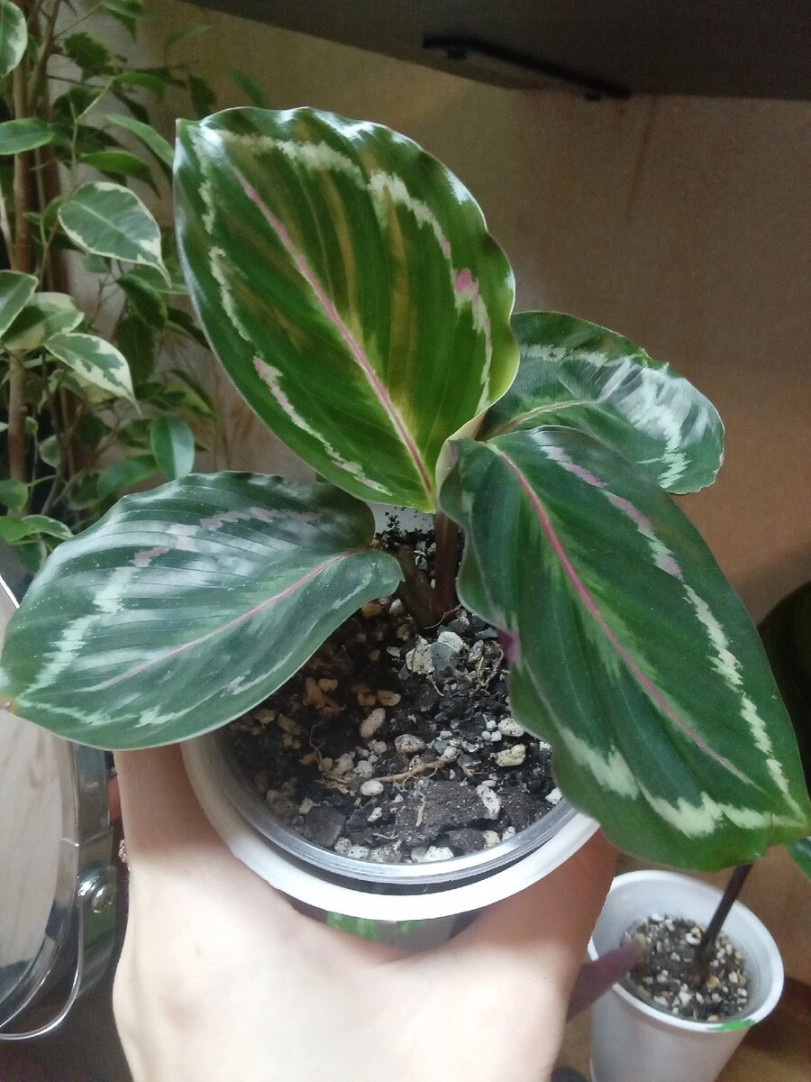 Сейчас она выглядит так.