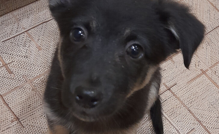    фото из архива Курских известий