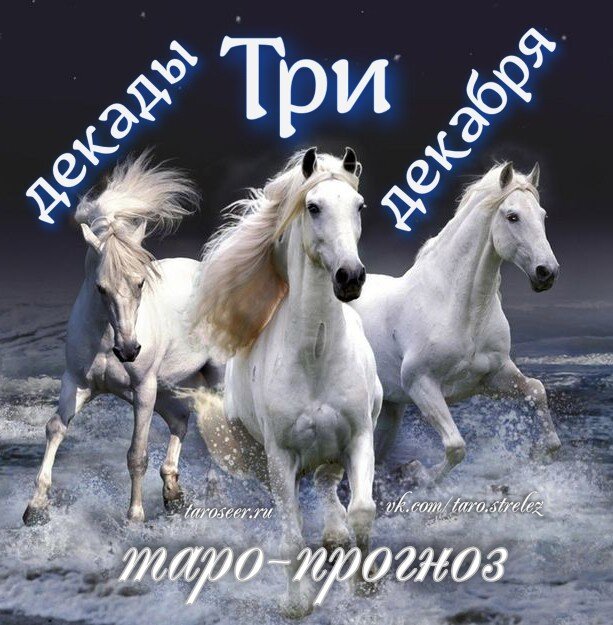 коллаж ЕлВита