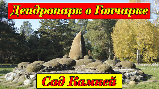 Дендропарк в Гончарке. Сад камней