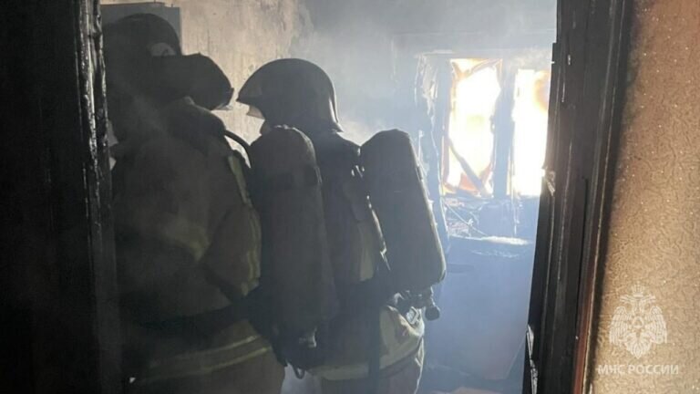    В Оренбурге на пожаре в девятиэтажке на улице Промышленной спасли 4 человек Елена Шкатова