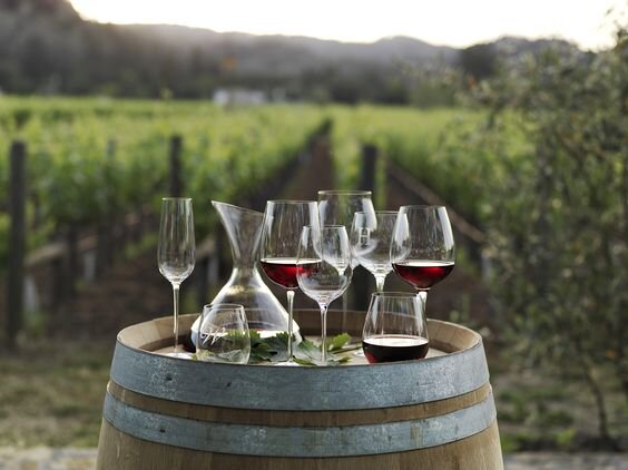 «Винный гид России» назвал лучше вина страны. Среди них много крымских ...