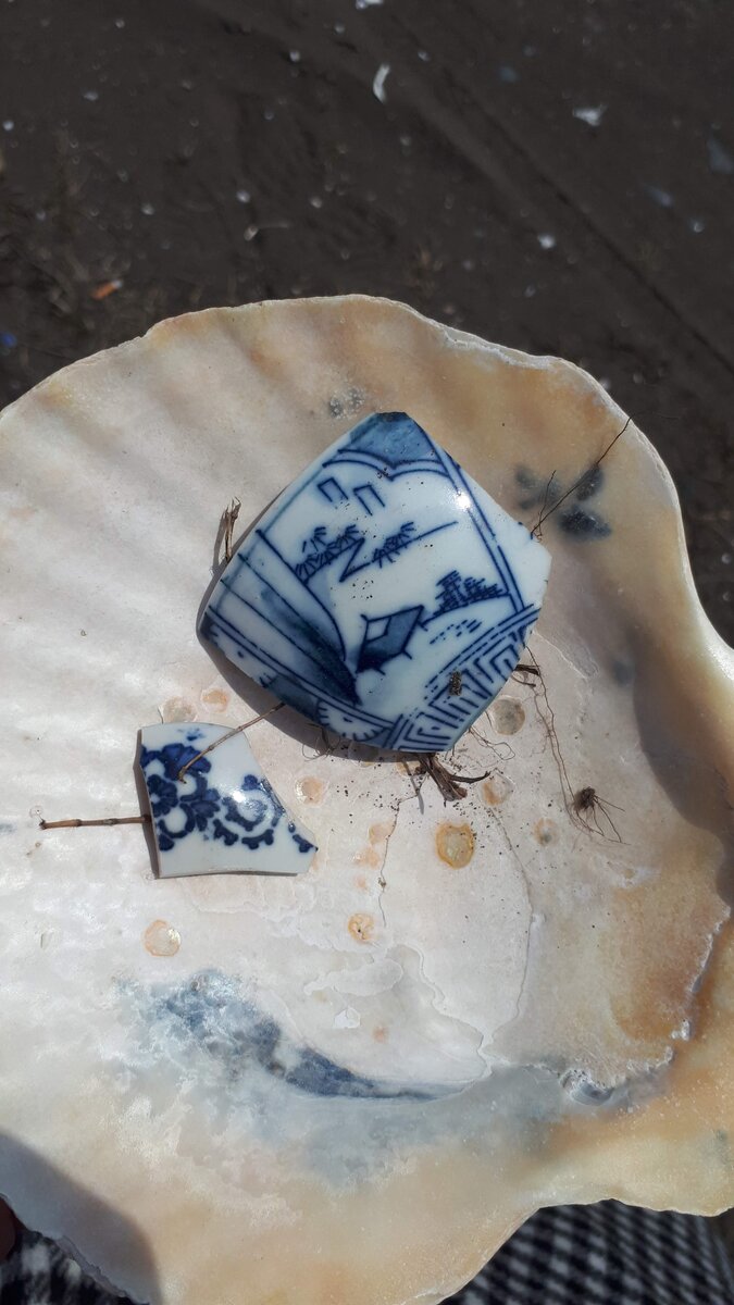 Первые находки