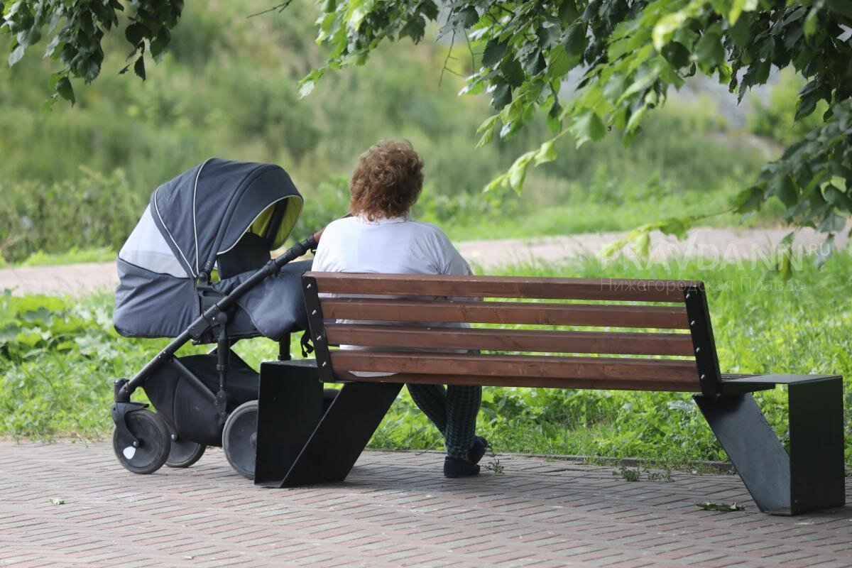    Сквер станет живой изгородью Арина Полтанова